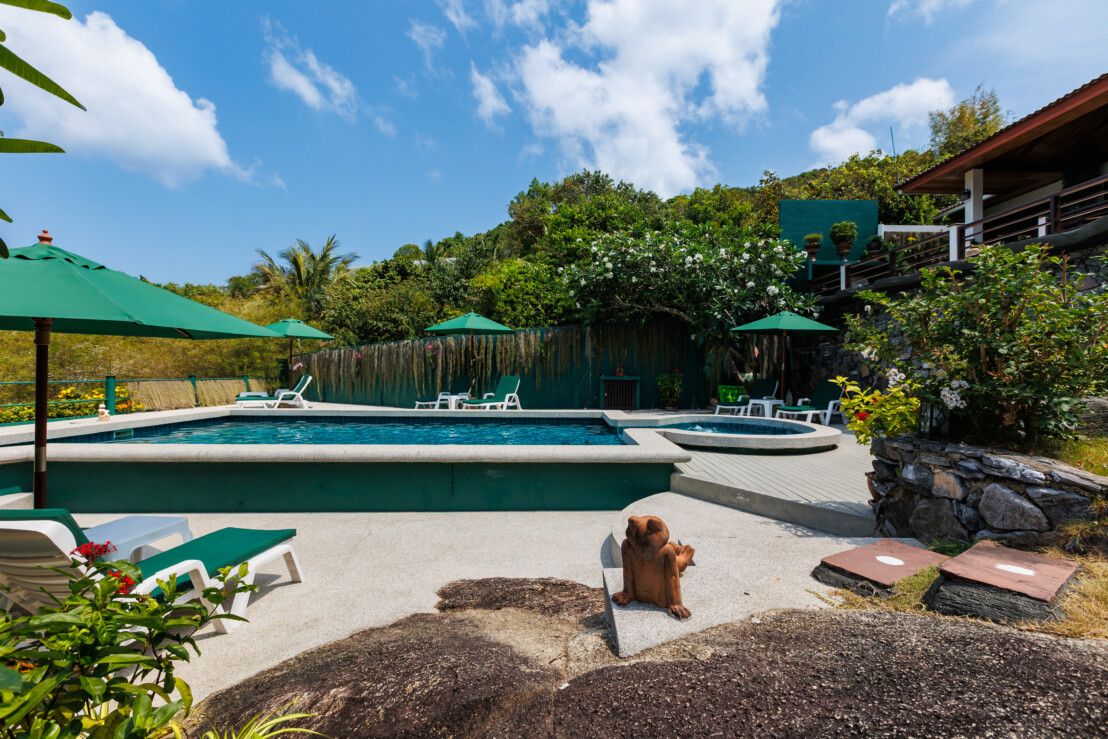 Frog - Garden - Pool.