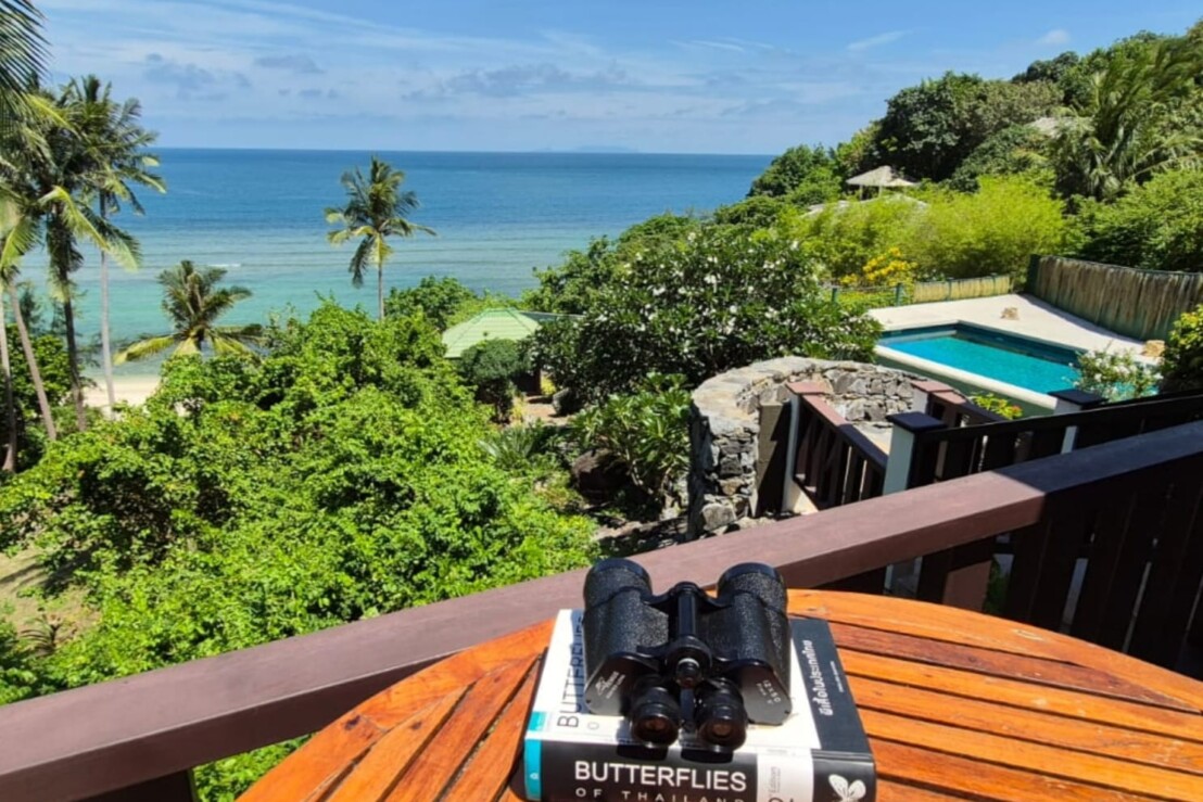 Villa 2 Ocean And Pool View.